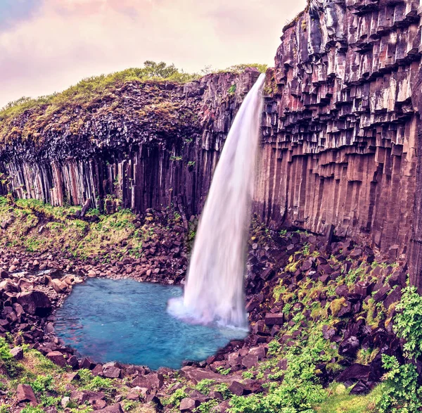 Magical landscape with a famous Svartifoss waterfall in the middle of basalt pillars in Skaftafell, Vatnajokull