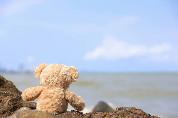 Sozinho Ursinho Sentado Rocha Olhar Sobre Mar Sentir Sozinho — Fotografia de Stock