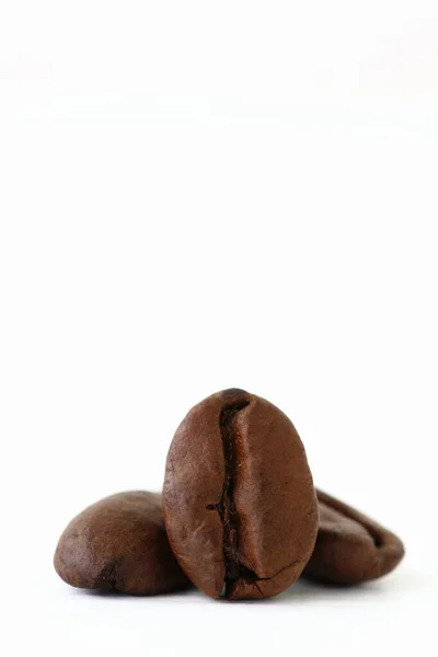 Pörkölt Kávébab Fehér Háttérrel Másolási Hellyel — Stock Fotó