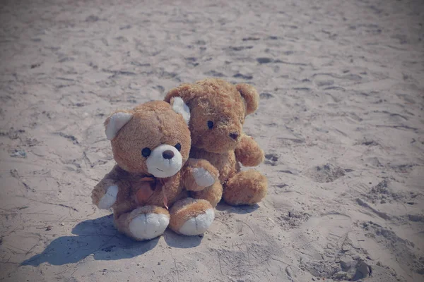 Couple Brown Teddy Bear Sitting Hugging Beach Concept Love Expectancy — Stock Photo, Image