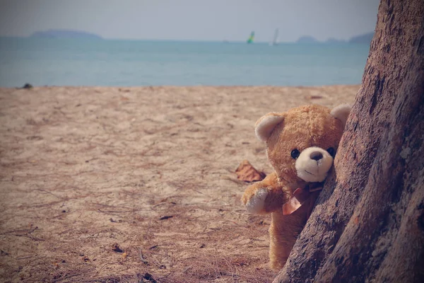 Urso Pelúcia Marrom Único Praia Atrás Árvore Estilo Retro Tom — Fotografia de Stock