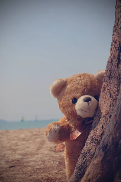 Однокоричневий Плюшевий Ведмідь Стоїть Пляжі Деревом Стиль Ретро Вінтажний Тон — стокове фото
