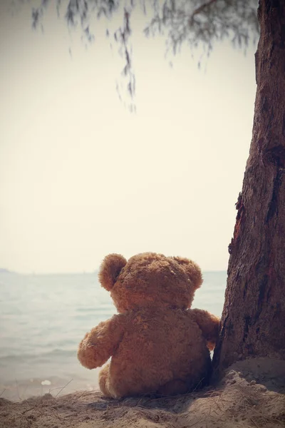 Ein Einzelner Brauner Teddybär Sitzt Strand Und Blickt Auf Das — Stockfoto