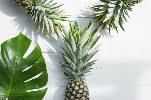 Piñas Con Hojas Monstera Sobre Fondo Blanco — Foto de Stock