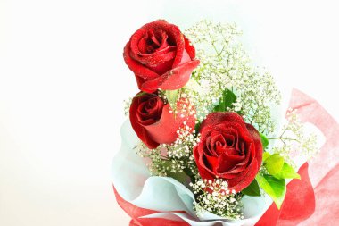 Beyaz arka planda kırmızı gül buketi. Sevgililer Günü konsepti.