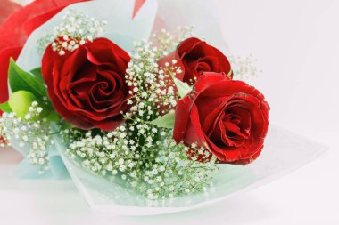 Sevgililer günü, sembol aşkı, beyaz arka planda kırmızı güller. metin için kopyalama alanı ile.