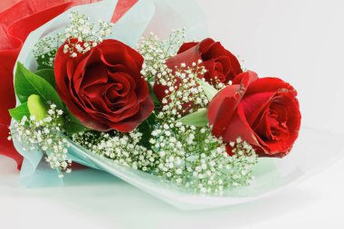 Sevgililer günü, sembol aşkı, beyaz arka planda kırmızı güller. metin için kopyalama alanı ile.