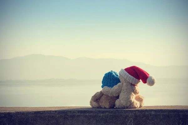 Ayı Teddy, baraj gölünün kışında oturmuş sarılıyor. Metin yazmak için kopyalama alanı olan konsept aşk. resim klasik biçimi.