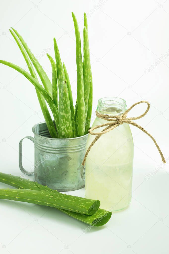 Aloe vera healthy drink on white background. with copy space for write text.
