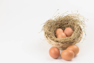 Beyaz arka planda saman içinde yumurtalar. Metin yazmak için sol tarafında kopyalama alanı ile.