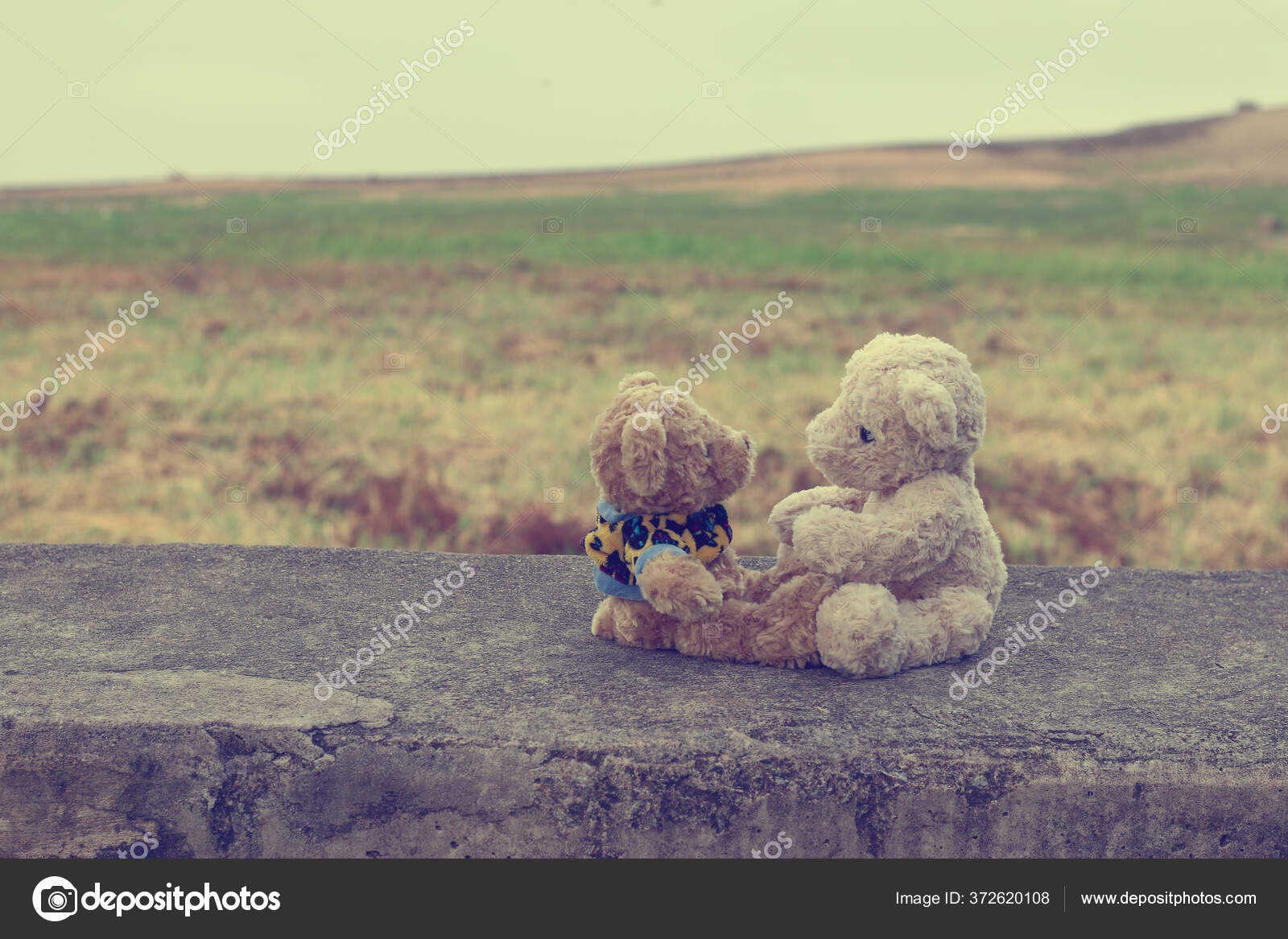 Dois Ursos Pelúcia Marrom Sentado Abraçando Abraçar Cuidar Uns Dos — Foto ©  Nanthaphiphatwatto #372620108, image size:1600x1167