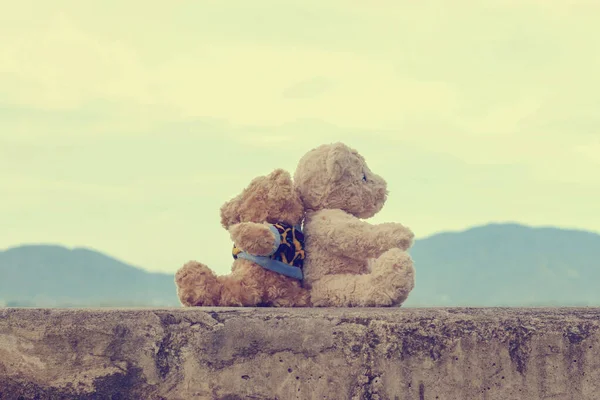 Два Коричневі Плюшеві Ведмеді Сидять Назад Назад Вінтажному Стилі Копіювання — стокове фото