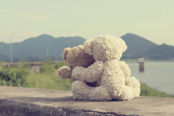 Zwei Braune Teddybären Sitzen Stauseeufer Umarmen Sich Umarmen Sich Mit — Stockfoto