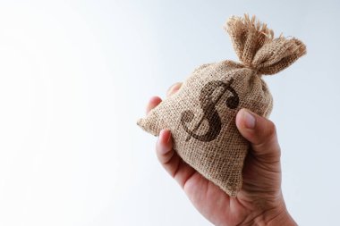 Beyaz arka planda izole edilmiş Sembol Doları parasıyla bir çuval içinde para tutan bir insan. Metin konsepti işi için kopyalama alanı ve finansal