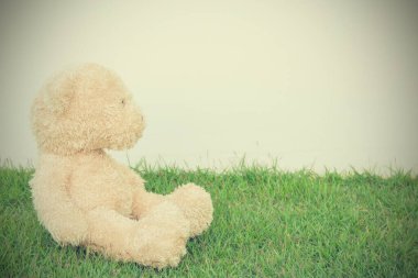 Oyuncak ayı beyaz arka planda yeşil çimlerde tek başına. Boşluğu kopyala, klasik biçim.