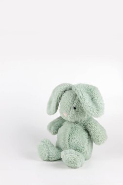 Beyaz arka planda oturan yeşil tavşan bebek.