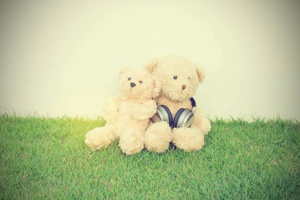 Two Teddy Bears Headphone Green Grass White Background Vintage Style — Stock Photo, Image