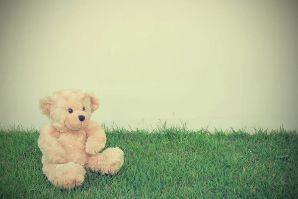 Teddybjörnen Ensam Grönt Gräs Med Vit Bakgrund Kopiera Utrymme Vintage — Stockfoto