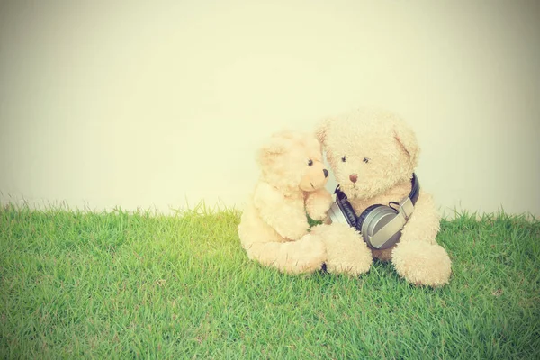 Zwei Teddybären Mit Kopfhörer Auf Grünem Grasweißem Hintergrund Vintage Stil — Stockfoto