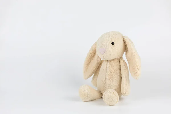 Beyaz arka planda oturan kahverengi tavşan bebek..