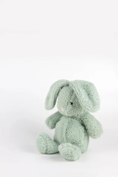 Beyaz arka planda oturan yeşil tavşan bebek.