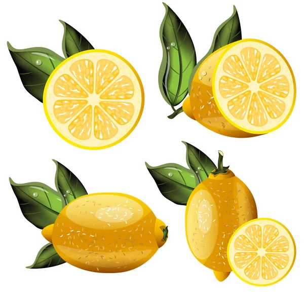 新鲜的柠檬果实集合 — 图库矢量图片