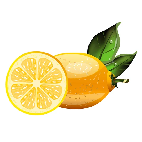 Zitrone mit Blättern isoliert auf weißem Hintergrund. — Stockvektor