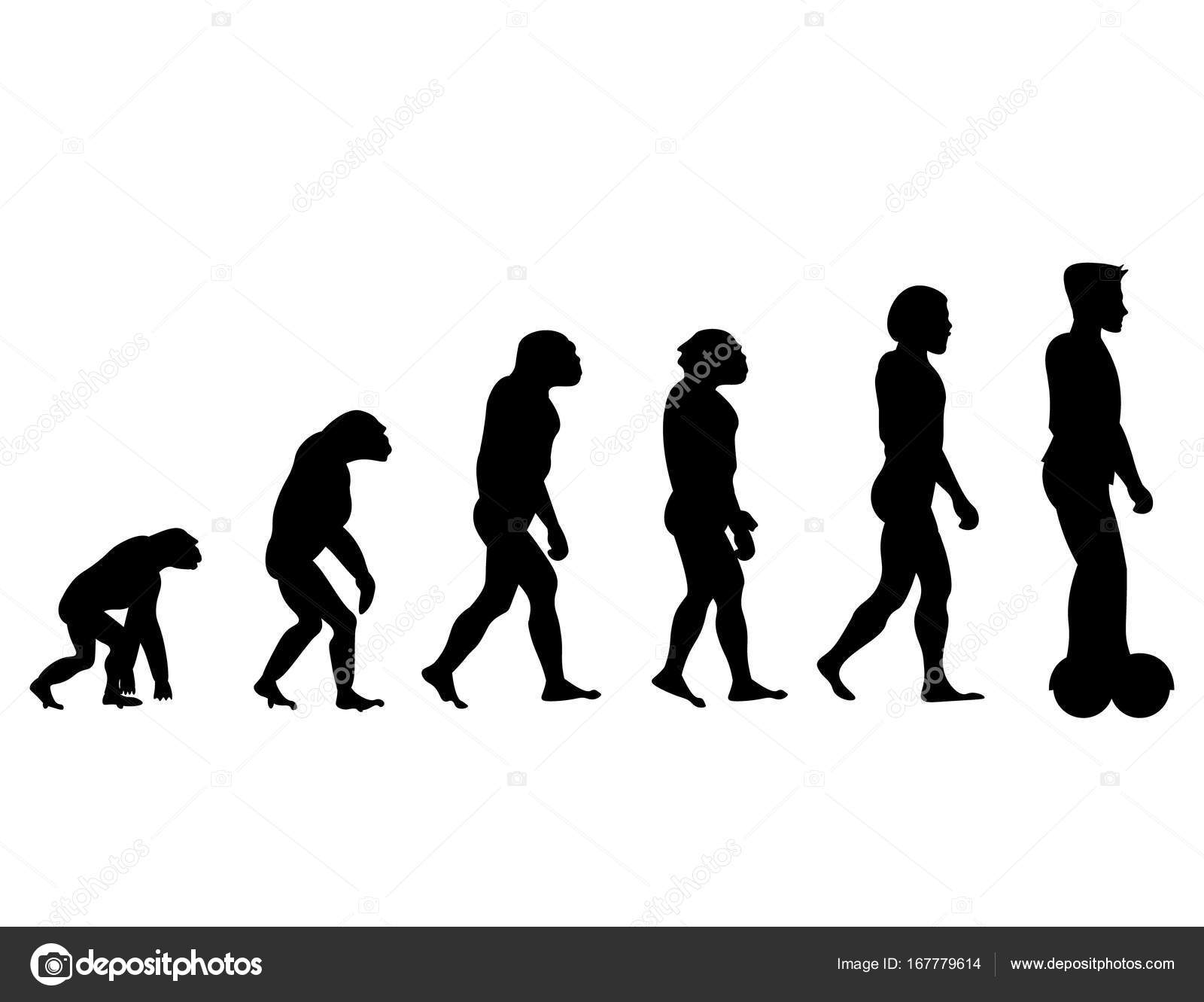 Evolution Illustrations & Vectors