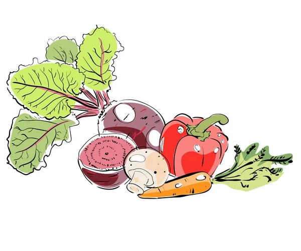 手绘五颜六色的不同蔬菜. — 图库矢量图片