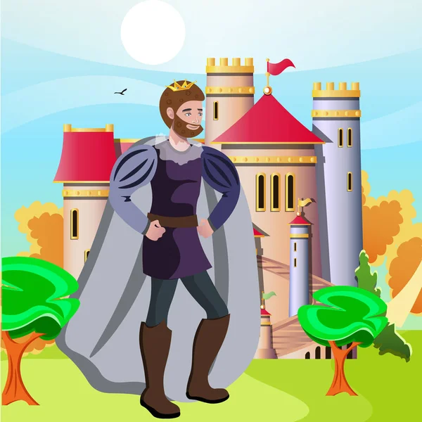 Král před jeho hrad — Stockový vektor