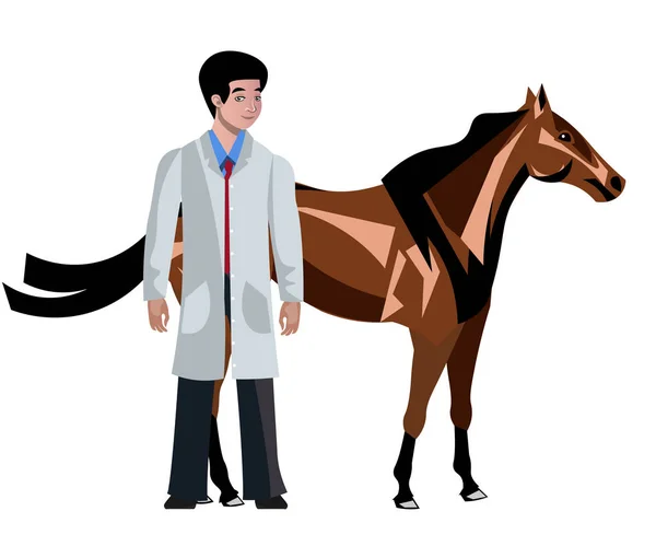 Horse with vet doctor on white background — Stock Vector