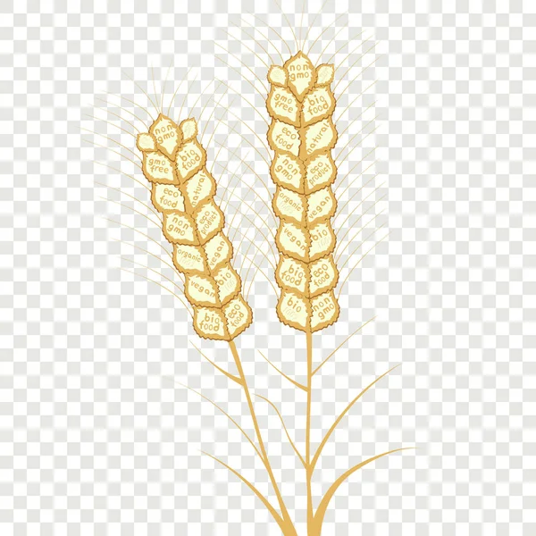 Logo Telinga gandum dengan tulisan makanan sehat. - Stok Vektor