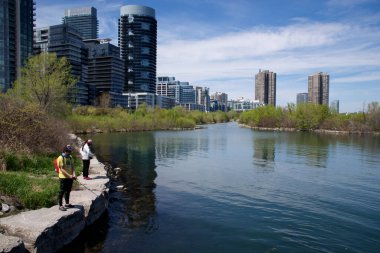 Toronto, Ontario / Kanada - 05 / 21 / 2018: Toronto rıhtım daireleriyle parkta avlanmak