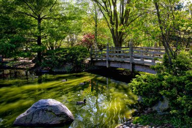 Kariya Parkı 'ndaki göletin üzerindeki köprü - Mississippi, Ontario, Kanada' daki Japon tarzı bahçe