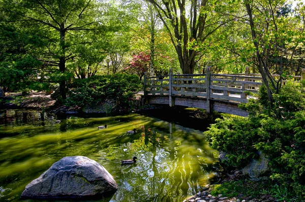 Kariya Parkı 'ndaki göletin üzerindeki köprü - Mississippi, Ontario, Kanada' daki Japon tarzı bahçe