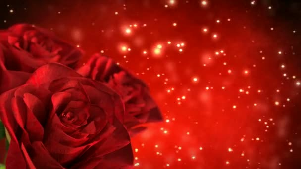 Rotating red roses with bokeh particles - 3D render. seamless loop — Stock Video