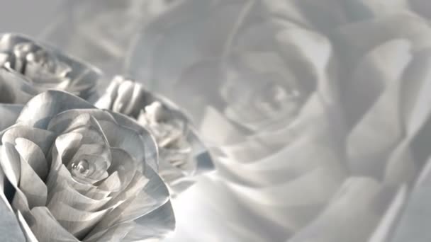 Rotierende weiße Rosen, Hochzeitsthema - 3D-Rendering. nahtlose Schleife — Stockvideo