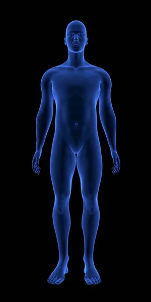 Blauer menschlicher Anatomie Körper 3D-Scan-Rendering auf schwarzem Hintergrund — Stockfoto
