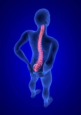 Spine Pain. Blue Human Anatomy Body 3D render on blue background clipart