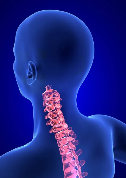 cervical Spine Pain. Blue Human Anatomy Body 3D render on blue background