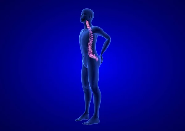Dolor de columna. Blue Human Anatomy Body 3D renderizado sobre fondo azul — Foto de Stock