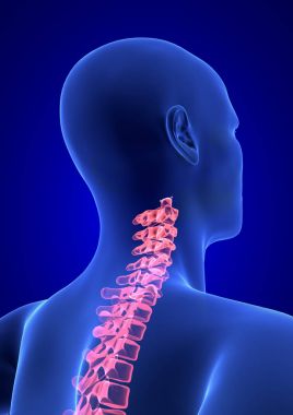 cervical Spine Pain. Blue Human Anatomy Body 3D render on blue background clipart