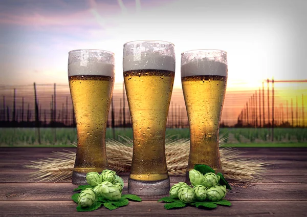 Trzy szklanki piwa z hop ogrodem w tle - 3d renderowania — Zdjęcie stockowe