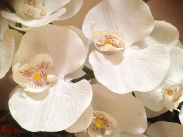 Yapay çiçekleri kapat