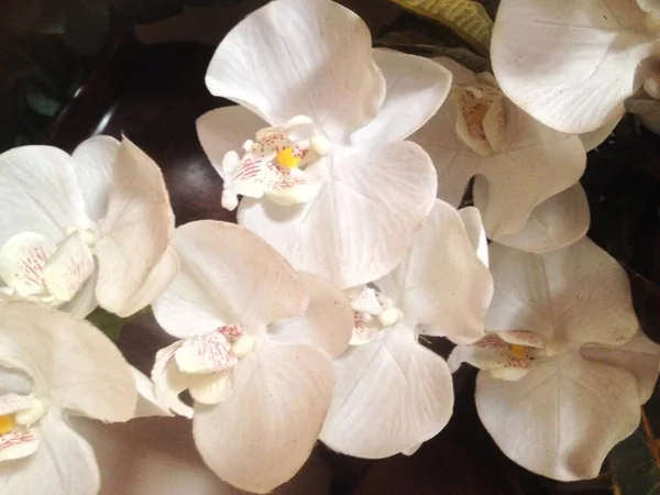 Yapay çiçekleri kapat