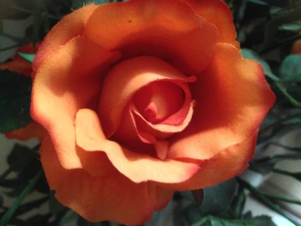 Yapay çiçekleri kapat