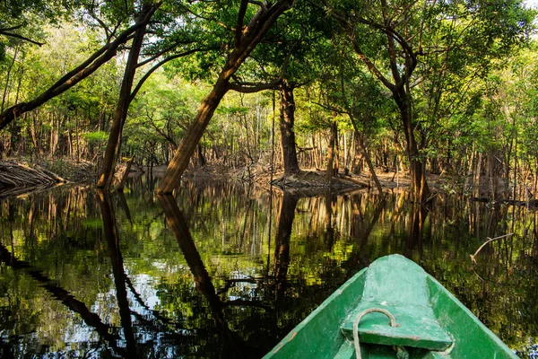 Rio Negro, Amazonas, Brezilya 'nın yan silahı.