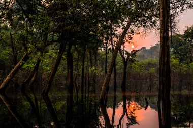 Rio Negro, Amazonas, Brezilya 'nın yan kolunda gün doğumu