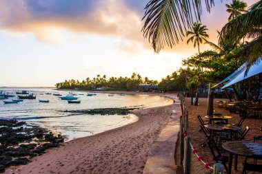 Praia do Forte, Beach, Brezilya