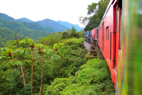 Tren Selva Atlántica Brasil — Foto de Stock